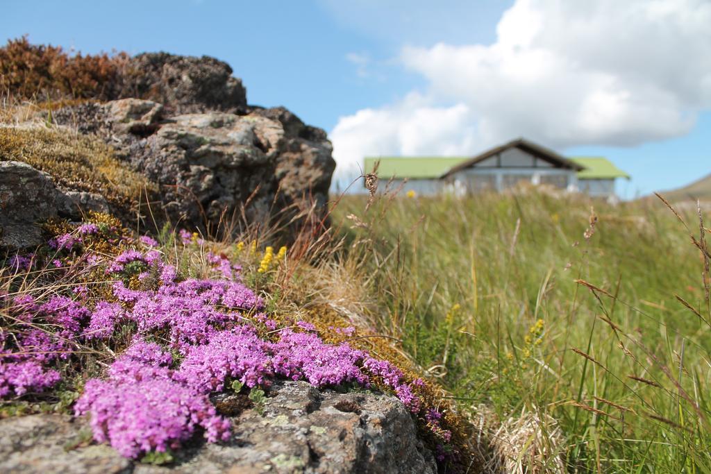 Hoemluholt Holiday Homes Luaran gambar
